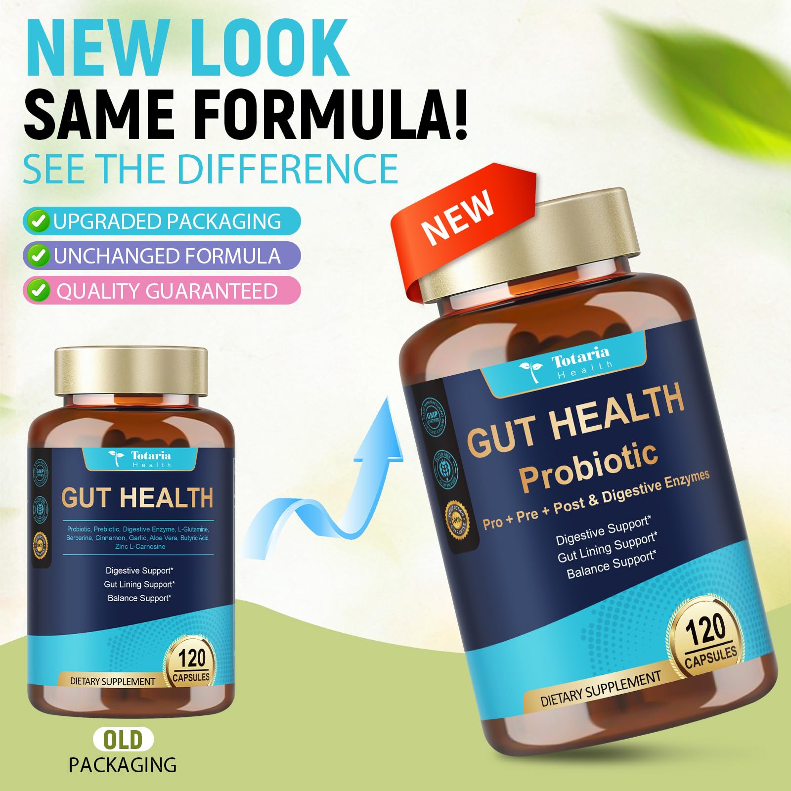 14-in-1 Gut Health with Probiotics, Prebiotics, Postbiotics & Digestive Enzymes for Women & Men, 60 Billion CFU Probiotics for Digestion, Strong Immunity, - OzHealthStandard
