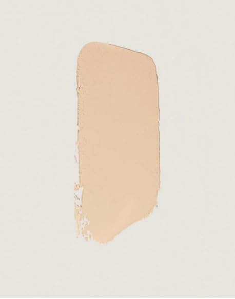 MERIT The Minimalist Perfecting Complexion Foundation and Concealer Stick Silk Merit buy supplements canada