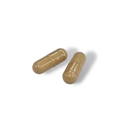 Prime Fifty Liver Support Supplements – 56 Vegan Capsules – Choline & Milk Thistle Supplements FutureYou Cambridge buy supplements canada