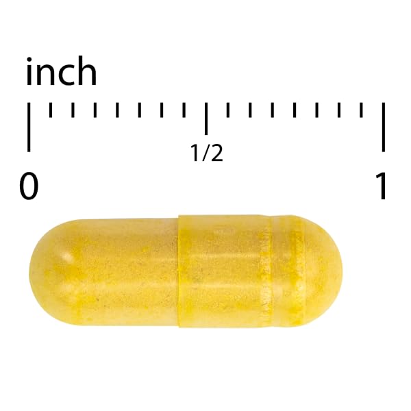 Terry Naturally Arthocin - Boswellia Serrata Capsules with Devil's Claw & Curcumin - Supplement to Support Joint & Spine Health - Herbal Supplement Aids Comfort & Absorption - 60 Capsules Terry Naturally buy supplements canada