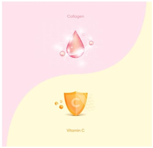 EVERYDAZE BT21 Essential C’s Collagen + Vitamin C Konjac Jelly | Vegan, 10 Calories E EVERYDAZE buy supplements canada