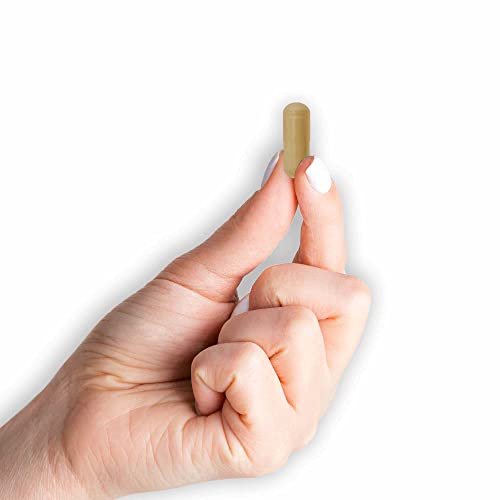 MASON NATURAL Colon Herbal Cleanser, Dietary Supplement Supports Digestive Health MASON NATURAL buy supplements canada
