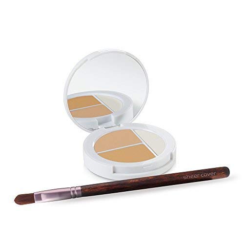 Sheer Cover Studio – Conceal and Brighten Highlight Trio – Two-Toned Concealers – Shimmering Highlighter – Light/Medium Shade – With FREE Concealer Brush – 3 Grams Sheer Cover buy supplements canada