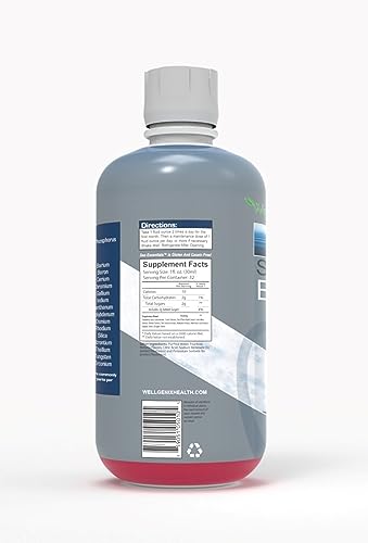 Wellgenix Sea Essentials Liquid Mineral Dietary Supplement with Trace and Macro Minerals and Coral Calcium – Sea Berry Flavor – 32 fl oz Wellgenix buy supplements canada