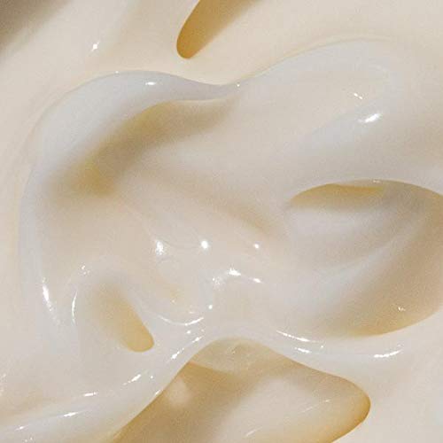 Moon Juice Cosmic Cream Vegan Collagen Protecting Moisturizer - Adaptogenic Dewy Face Lotion with Ashwagandha, Emollient Fatty Acids & Mushroom - Clean, Cruelty-Free & Sustainably-Sourced (1.7oz) Moon Juice buy supplements canada