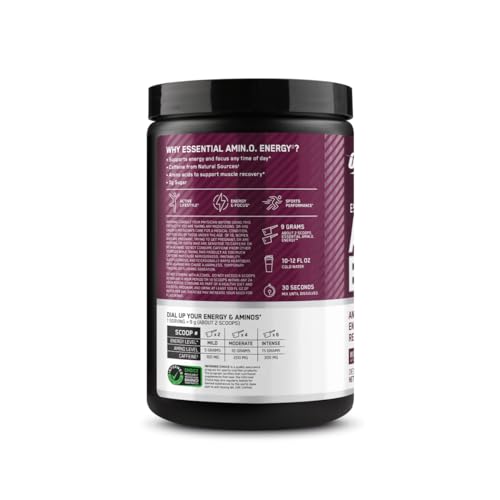 Optimum Nutrition Amino Energy - Pre Workout with Green Tea, BCAA, Amino Acids Optimum Nutrition buy supplements canada