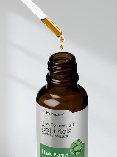 Gotu Kola Extract | 2 fl oz | Alcohol Free | Super Concentrated Liquid Herb Supplement Horbäach buy supplements canada