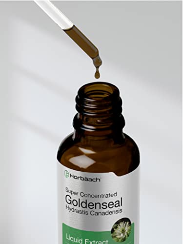 Goldenseal Root Extract Liquid | 1 fl oz Tincture | Super Concentrated | Alcohol Free Horbäach buy supplements canada