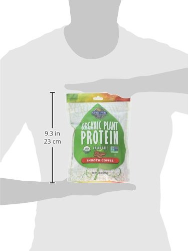 Garden of Life Organic Plant Protein Smooth Coffee Powder, 10 Servings - Vegan Garden of Life buy supplements canada