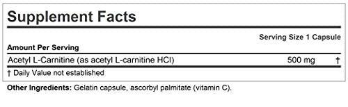 ANDREW LESSMAN Acetyl L-Carnitine 500 mg - 60 Capsules - Support for Nervous System ANDREW LESSMAN buy supplements canada