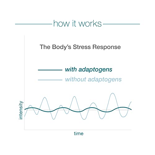 Youtheory ashwagandha Capsule, Helps Maintain Normal cortisol Level, Helps Reduce Youtheory buy supplements canada