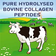 Collagen Liquid 10000mg, Hydrolysed Peptides | Hyaluronic Acid, Biotin, Silica, Vitamin C, Vitamin B12 NUTRABYTES buy supplements canada