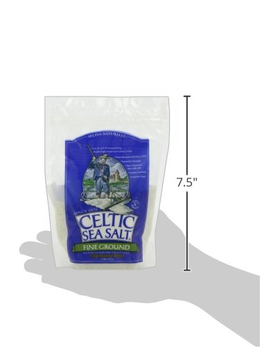 Celtic Sea Salt, Fine Ground, 8 Ounce, 0.5 Pound (Pack of 1) Celtic Sea Salt buy supplements canada