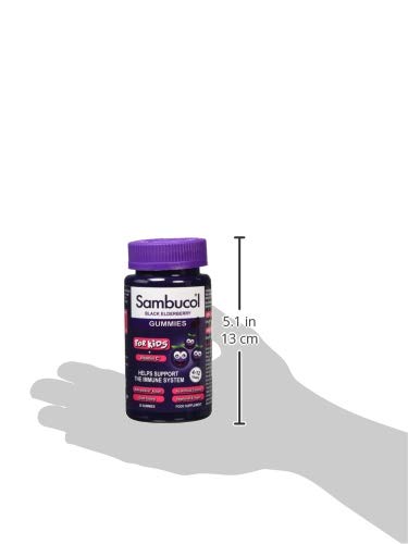 SAMBUCOL KIDS GUMMIES 30'S, 30 Count (Pack of 1) Sambucol buy supplements canada