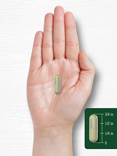 Carlyle Indole-3-Carbinol (I3C) 400mg | 120 Capsules | Advanced Formula Carlyle buy supplements canada
