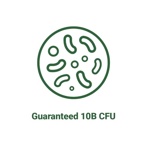 AceBiome BNRThin S30, Lactobacillus Gasseri BNR17, 10 Billion CFU Guaranteed AceBiome buy supplements canada