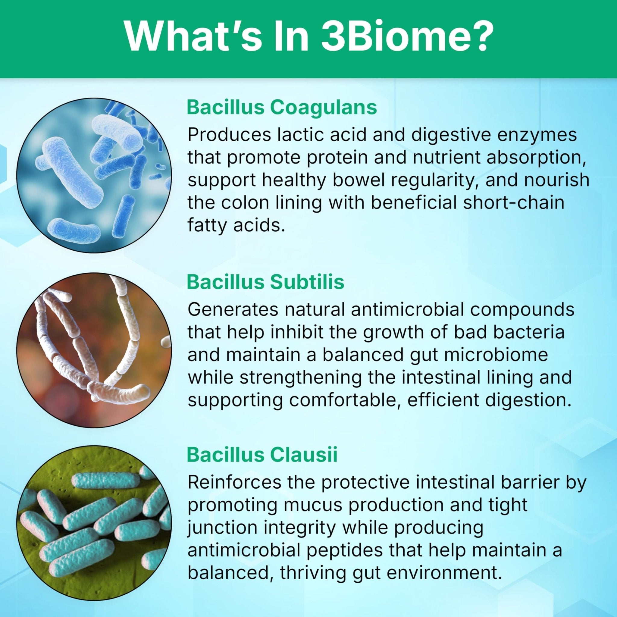 3Biome - Natural Probiotic Supplement - Non-GMO, Vegan, Gluten-Free - OzHealthStandard