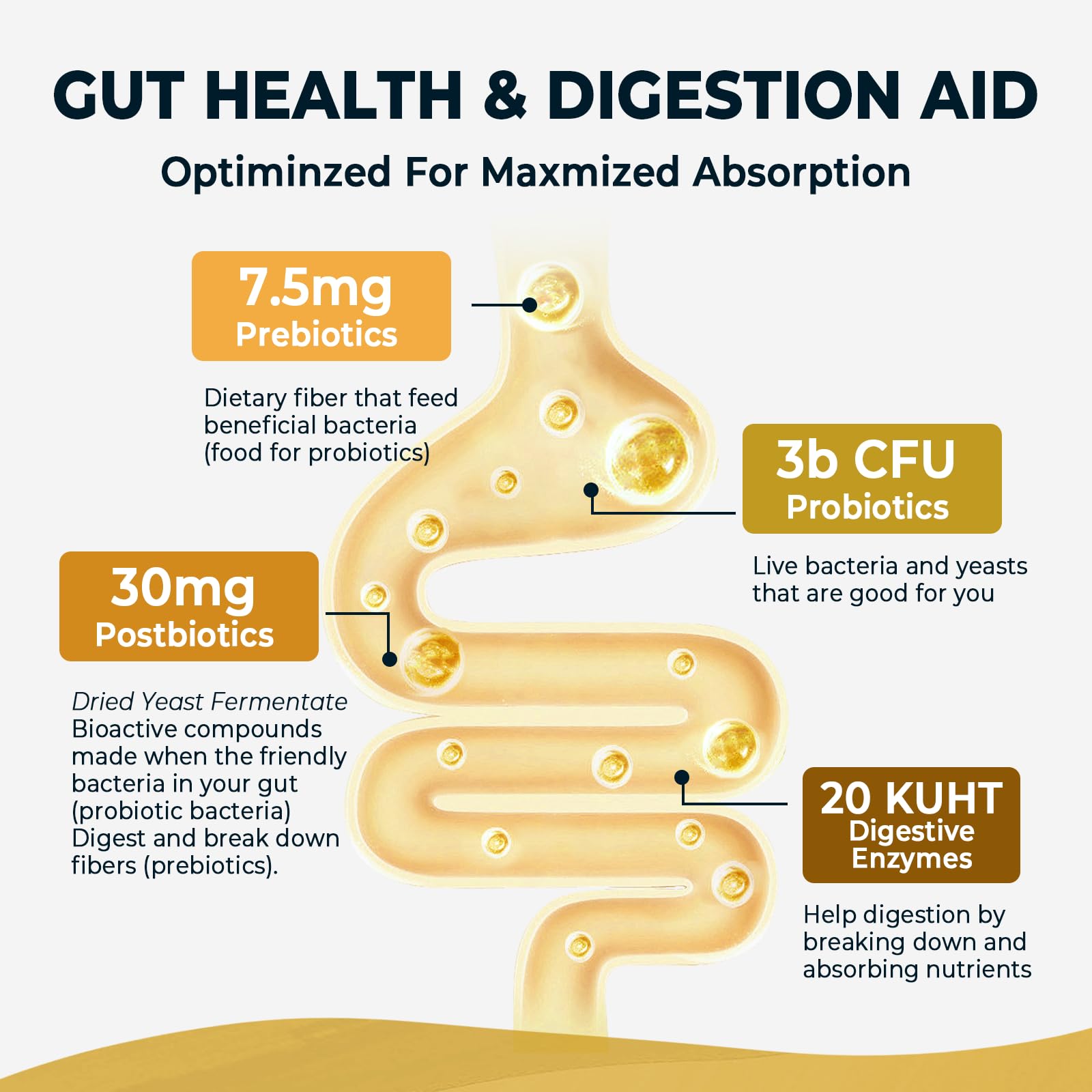 4-in-1 Prebiotic Probiotic & Postbiotic for Women & Men, Complete Gut & Digestive Support Supplement, Pre Post Probiotics & Digestive Enzymes 60 Capsules,Made in USA - OzHealthStandard