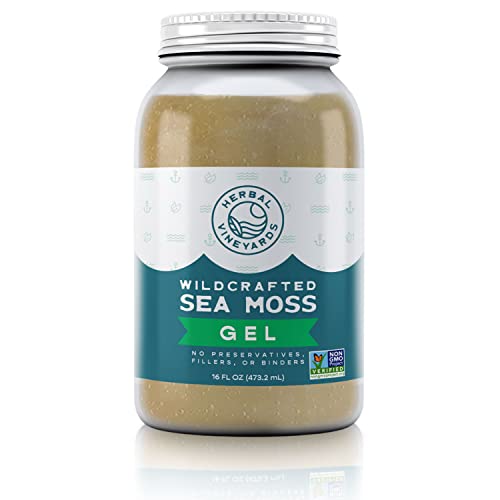 Herbal Vineyards Natural Organic Wildcrafted Gold Raw Sea Moss Gel for Immune Support Herbal Vineyards buy supplements canada