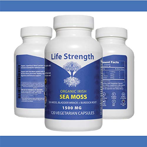 Life Strength Organic Sea Moss 120 CT Wildcrafted Irish Sea Moss and Bladderwrack Burdock Life Strength buy supplements canada