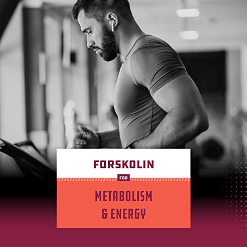 Pure Forskolin Extract for Weight Loss Supplement Powerful Antioxidant - Maximum Strength Natures Craft buy supplements canada