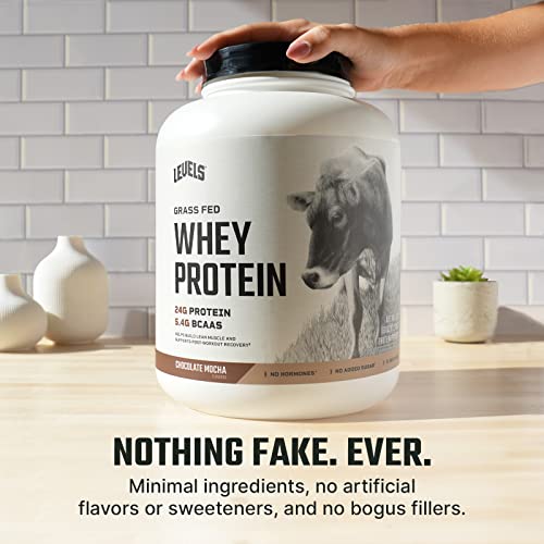 Levels Grass Fed 100% Whey Protein, No Hormones, Chocolate Mocha, 5LB Levels Nutrition buy supplements canada