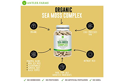 Antler Farms – 100% Pure Sea Moss Complex, 130 Capsules, Organic & Wildcrafted Irish Antler Farms buy supplements canada