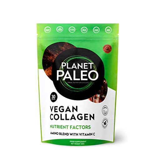Planet Paleo Vegan Collagen (Chocolate, 255g) - Vegan Collagen Powder - High Protein Planet Paleo buy supplements canada