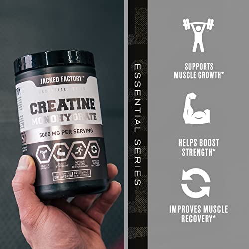 Nitrosurge Pre-Workout & Creatine Monohydrate - Pre Workout Powder With Creatine Jacked Factory buy supplements canada