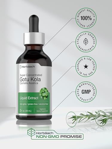 Gotu Kola Extract | 2 fl oz | Alcohol Free | Super Concentrated Liquid Herb Supplement Horbäach buy supplements canada