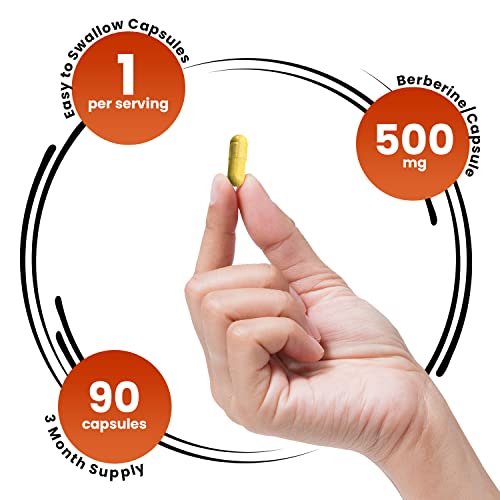 GENEX Berberine HCl 500mg (90 Capsules) | Powerful AMPK Activator, Supports Heart Genex Formulas buy supplements canada