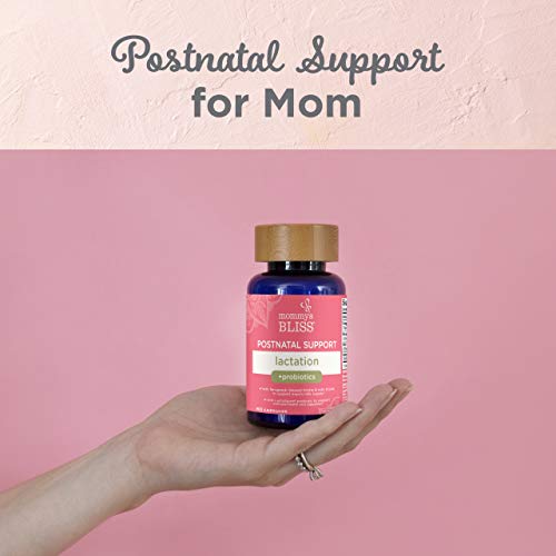Mommy's Bliss Postnatal Lactation Support Supplement with Probiotics: Support Breastfeeding Mommy's Bliss buy supplements canada