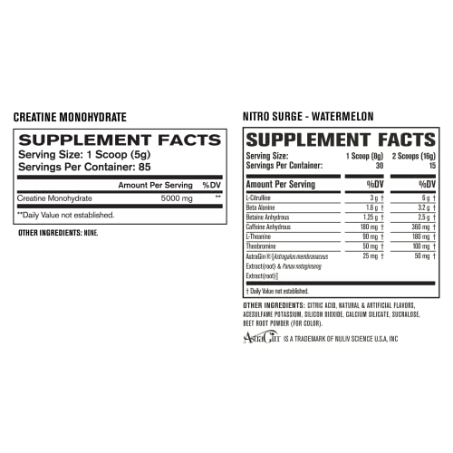 Nitrosurge Pre-Workout & Creatine Monohydrate - Pre Workout Powder With Creatine Jacked Factory buy supplements canada