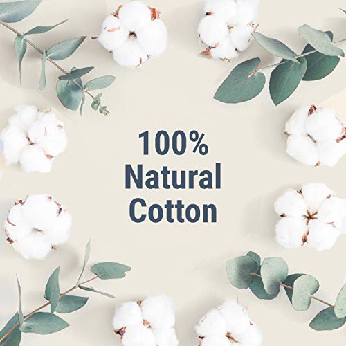 Veeda 100% Natural Cotton Applicator Free Tampons, 16 Count Super Absorbency unscented Veeda buy supplements canada