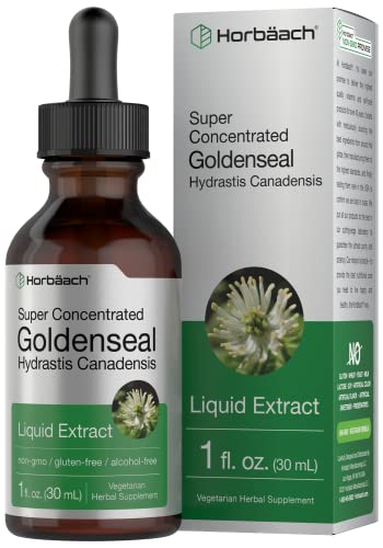 Goldenseal Root Extract Liquid | 1 fl oz Tincture | Super Concentrated | Alcohol Free Horbäach buy supplements canada