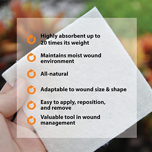 Pivot Calcium Alginate Wound Dressing – All-Natural First Aid | 4x5 Dressin LMP LINKS MEDICAL PRODUCTS INC. buy supplements canada