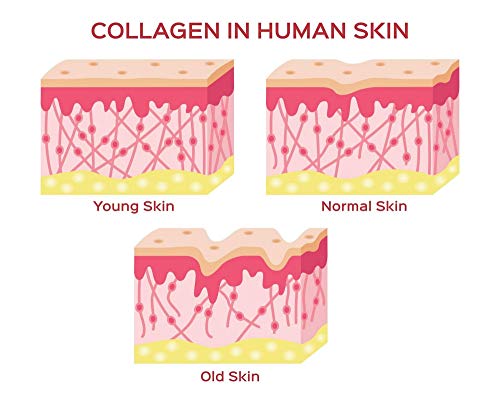 Herbal Magic's Pure & Natural Blend - Collagen Builder Capsules x 60 - Made from 17 Fruits Herbal Magic buy supplements canada