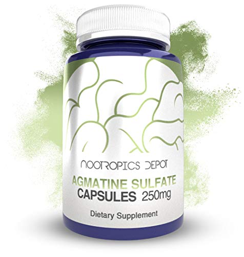 Nootropics Depot Agmatine Sulfate Capsules | 250mg | 240 Count | Energy Supplement Nootropics Depot buy supplements canada