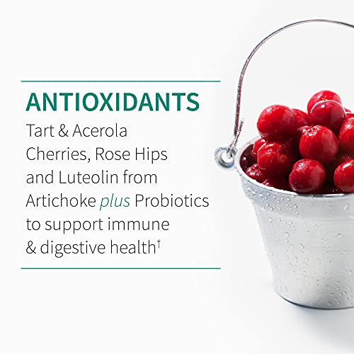 Garden of Life Quercetin Once Daily Immune System Support Garden of Life buy supplements canada