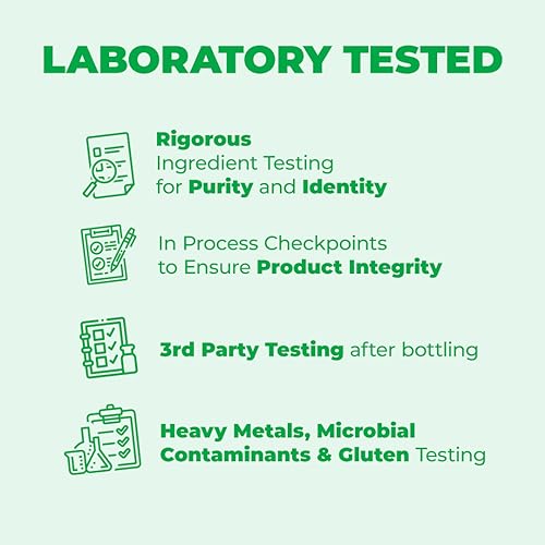 Green Tea Extract Capsules - Green Tea Supplement with Organic Turmeric Curcumin Vimerson Health buy supplements canada