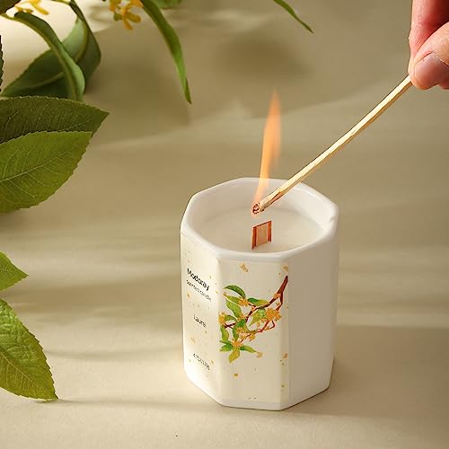 Modoray Scented Candle, Candles for Home Scented, Aromatherapy Candle，Long Lasting Natural Modoray buy supplements canada