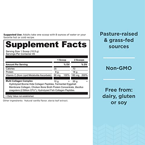 Collagen Powder Protein by Ancient Nutrition, Multi Collagen Vanilla Protein Powder Ancient Nutrition buy supplements canada