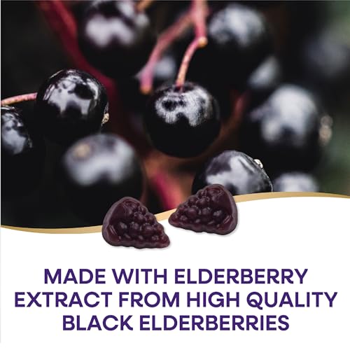 Nature's Way Sambucus Elderberry Immune Gummies, Daily Immune Support Nature's Way buy supplements canada