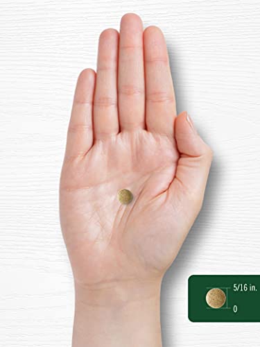 Carlyle Ginkgo Biloba 3000mg | 400 Tablets | Non-GMO, Gluten Free Carlyle buy supplements canada