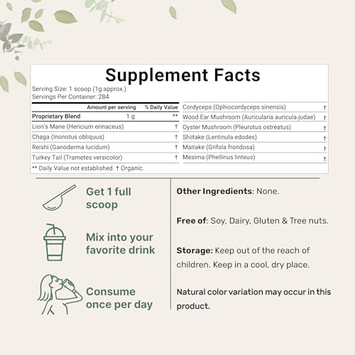 Sustainably US Grown, Organic Mega Mushroom 10 in 1 Complex Formula Powder Micro Ingredients buy supplements canada