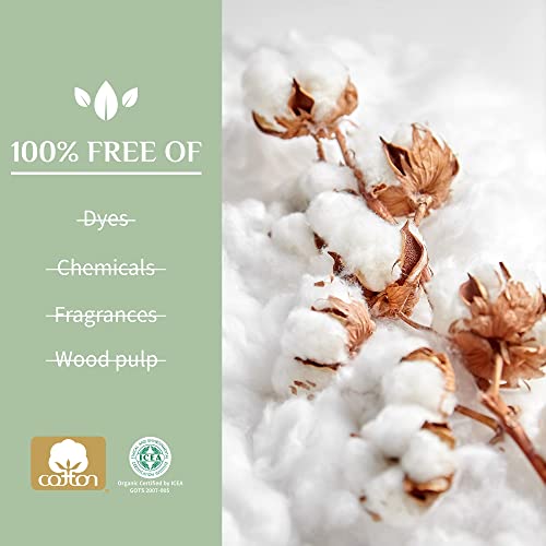 Organyc 100% Certified Organic Cotton Folded Panty Liner, Ultra Thin, Light Flow, 24 Count Organyc buy supplements canada