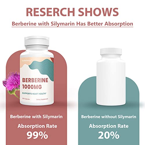 KoNefancy Berberine 1000mg with Silymarin,High Absorption Berberine HCL Supplements KoNefancy buy supplements canada