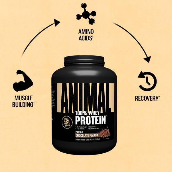 Animal 100% Whey Protein Powder – Whey Blend for Pre- or Post-Workout, Recovery Animal buy supplements canada