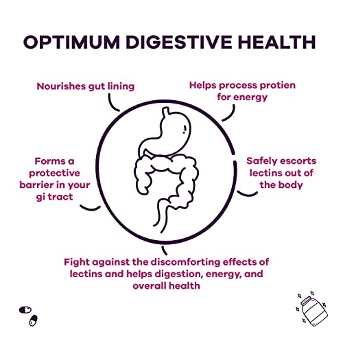 GOBIOTIX Lectin Defense - Lectin Blocker Supplement with MSM and Digestive Enzymes GOBIOTIX buy supplements canada
