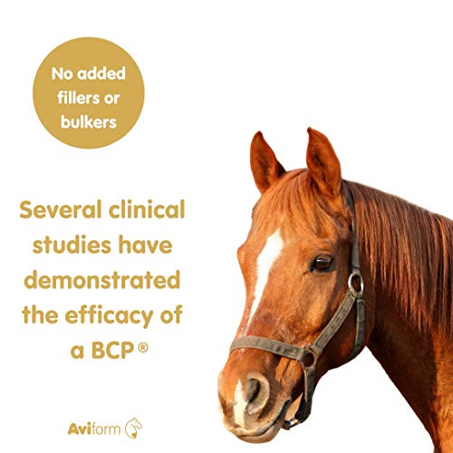 Aviform SUPPLEAZE PROGEN Horse Joint Supplement with Hydrolysed Collagen 1kg Aviform buy supplements canada